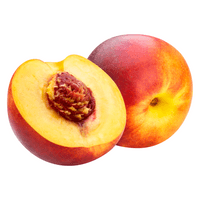 Nectarine