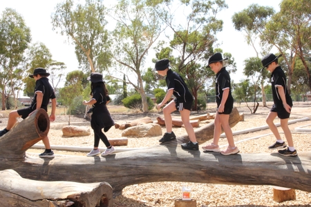 Kids walking along log