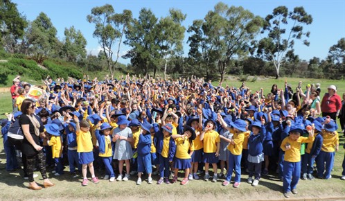 Rostrata Primary School