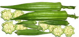 two large whole okras, 4 small whole okras and then sliced sections of okra
