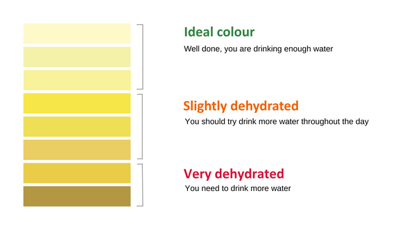 Urine colour scale, measuring levels of hydration based on colour of urine